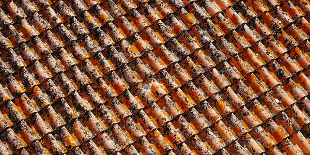 Close-up of orange clay roof tiles in neat rows